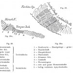 Ampferer Vomper Joch Fiechterspitze