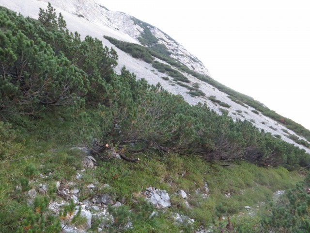 dieser ist es, Höhe 1.665m und man sieht einen Steig abzweigen