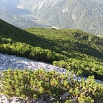 Unten Ist Die Stelle Beim Stangl Und Frueher Gab Es Lt Fuehrer Einen Weg Hier Herauf Die Zuntern Haben Sich Den Weg Zurueckgeholt