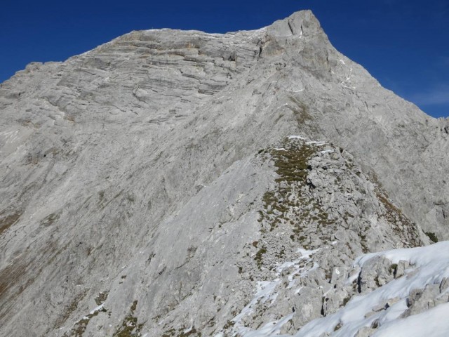 Großer Bettelwurf mit Osteck rechts