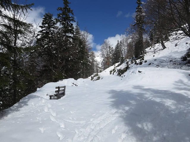 ab ca. 1.250m genug Schnee für den rest der Tour