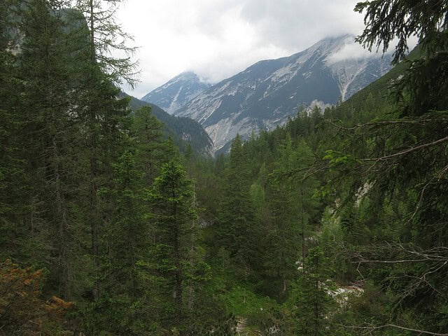 Blick talauswärts mit Gupenkopf südlich und nebelverhülltem Spitzhüttenkopf