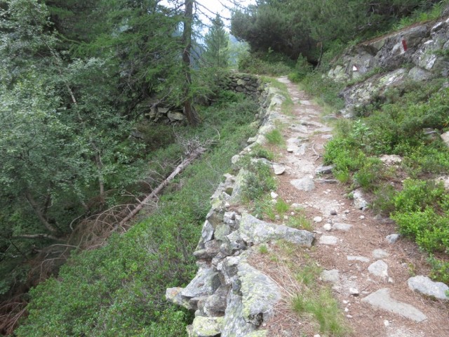 aufwändig gebauter Steig im Kiefernwald