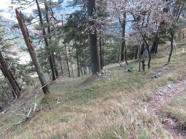 Steig von der Plattenalm nach St. Georgenberg