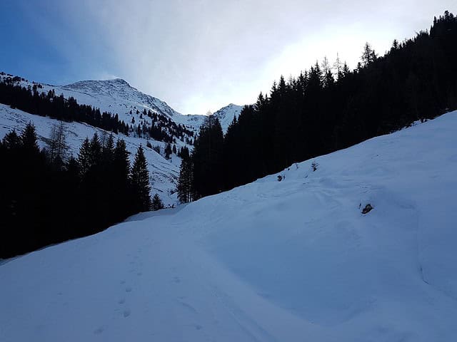 Schneise zum hintersten Talabschluß