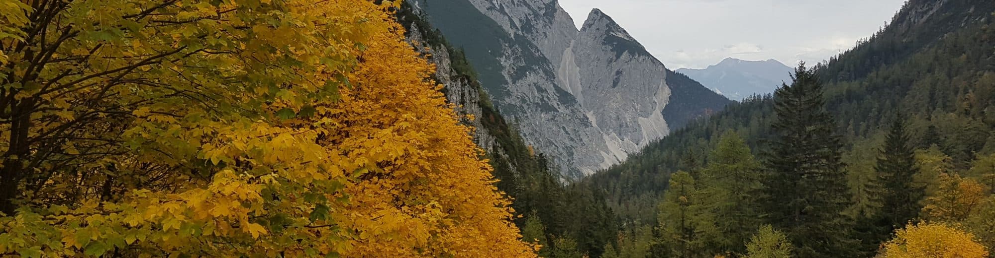 Bergsteigen hinter'm Haus