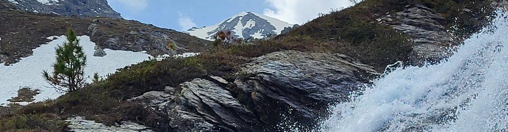 Bergsteigen hinter'm Haus