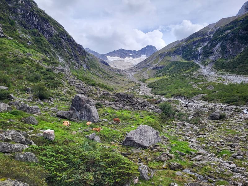 ein letzter Blick für viele Monate auf den Talschluß im Floitengrund
