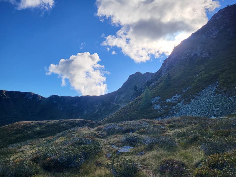 der Steig führt uns Richtung Osten
