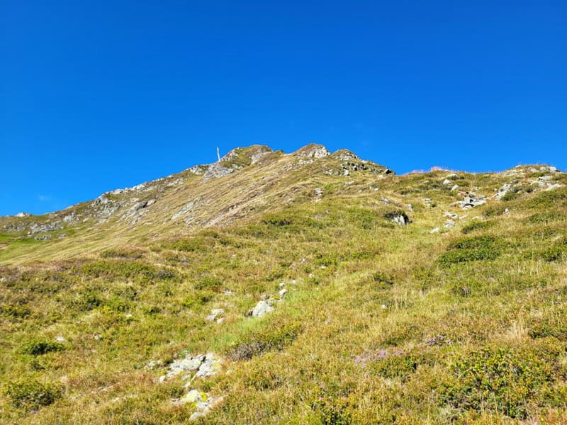 auf halbem Weg zur Metzenspitze; über üppigen Grasbewuchs den Ostgrat hinauf