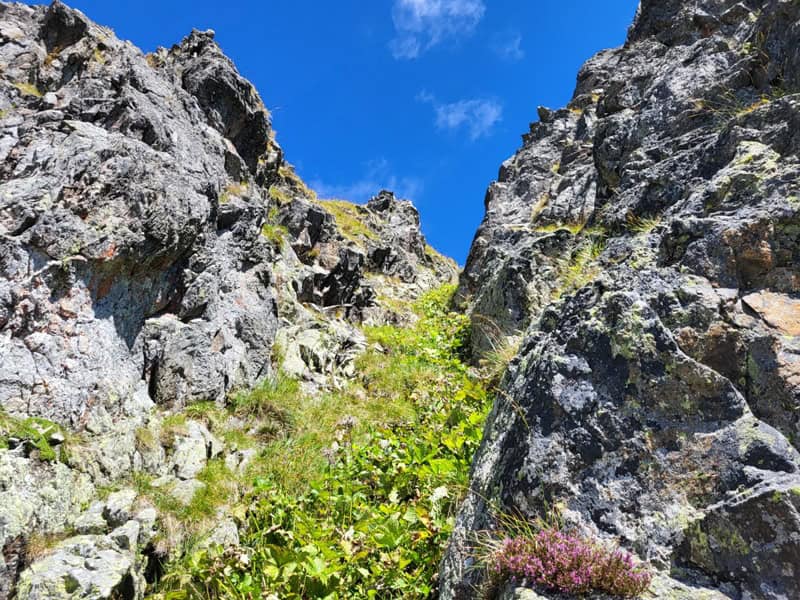 diese krautige Gasse hat Andi abgelehnt, sie würde direkt auf die Grathöhe führen