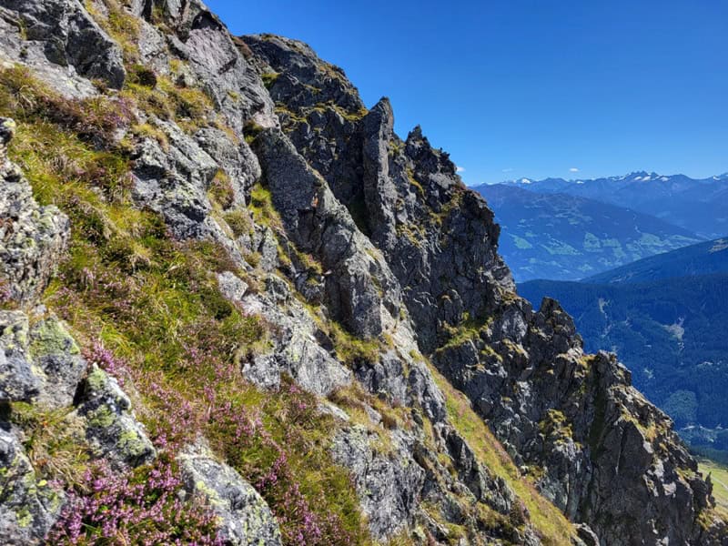 Rückblick auf die Querung der Südflanke; etwa in Bildmitte auf dem Band erreichten wir den Grat