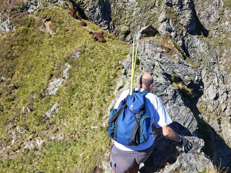 ein letzter Zacken wird überquert, der hinten steil und kurz auf den milden Gratkamm abbricht