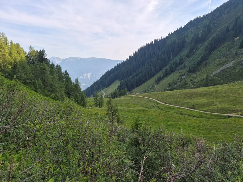 Gelände oberhalb der Proxenalm