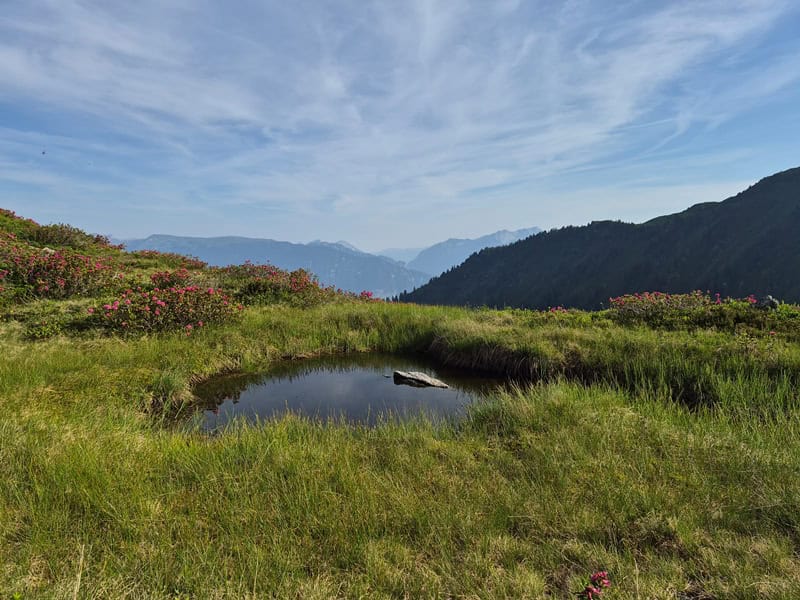 kleine Lacke am Sattelkopf am Sparkassenweg mit Blick ins Achental