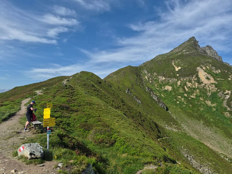 Am Falschegg mit dem Ostausläufer der Metzenspitze