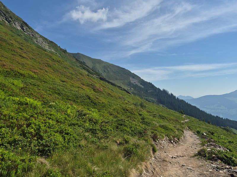Rückblick auf den Steig von der Rippe zur Gartalm