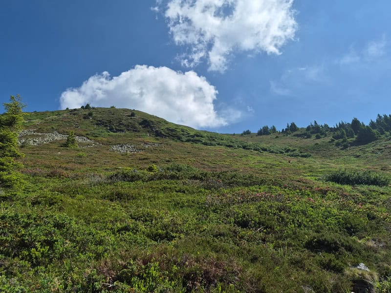 offene Hangquerung am Ende der Waldstrecke; oben rechts führt der Steig weiter