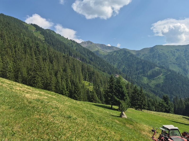 bäriger Blick von der Österer Alm auf Plumpmoos zum Kellerjoch