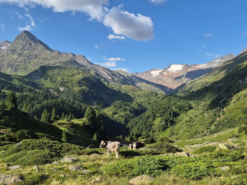 Almgelände am Beil mit Blick auf den Hangerer (3.020 m) und den Ramolkamm rechts mit dem Schalfkogel (3.537 m)