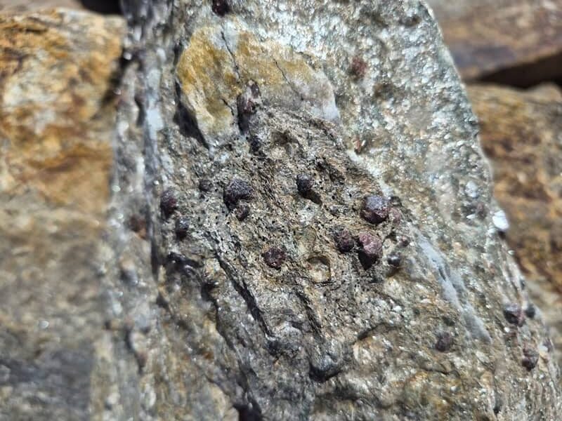 Berggranat eingebettet in Schiefergneis am Aufstieg zum Nördlichen Ramolkogel