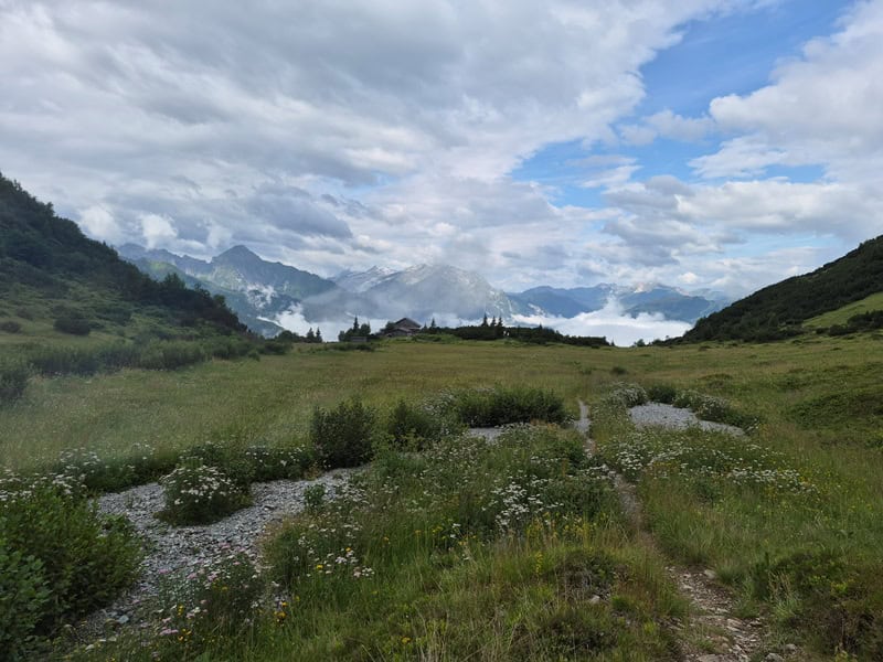 Rückblick aus dem Brandberger Kar hinter dem Kolmhaus; eine extensiv genutzte Fläche mit gutem Artenreichtum an Alpenblumen und Schmetterlingen