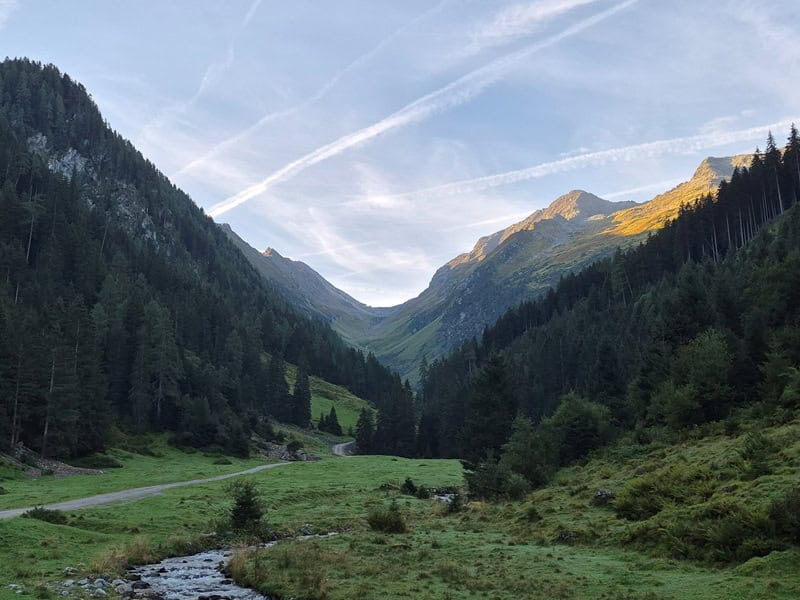 im Schwarzachtal; hinten die Höhenbergnieder (Schwarzachscharte)
