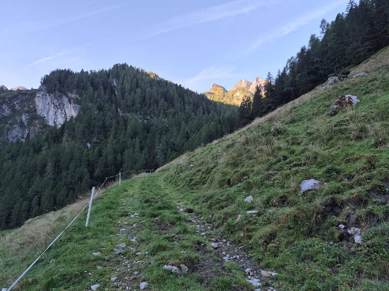 Weg oberhalb der Almgebäude zum Waldrand als Abkürzung zur Schotterstraße