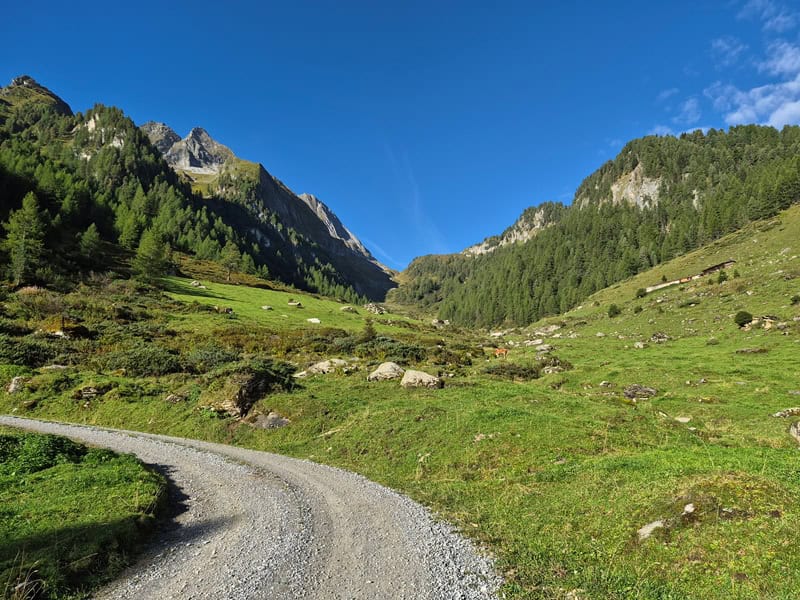 in der Sonne geht es zur Oberen Schwarzachalm