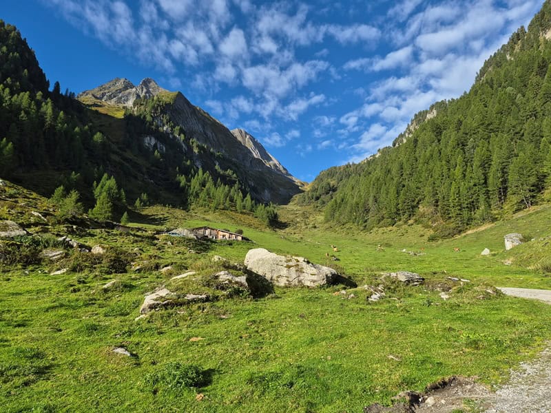 genau am dem letzten Almgebäude führt der Steig zum Brandberger Joch