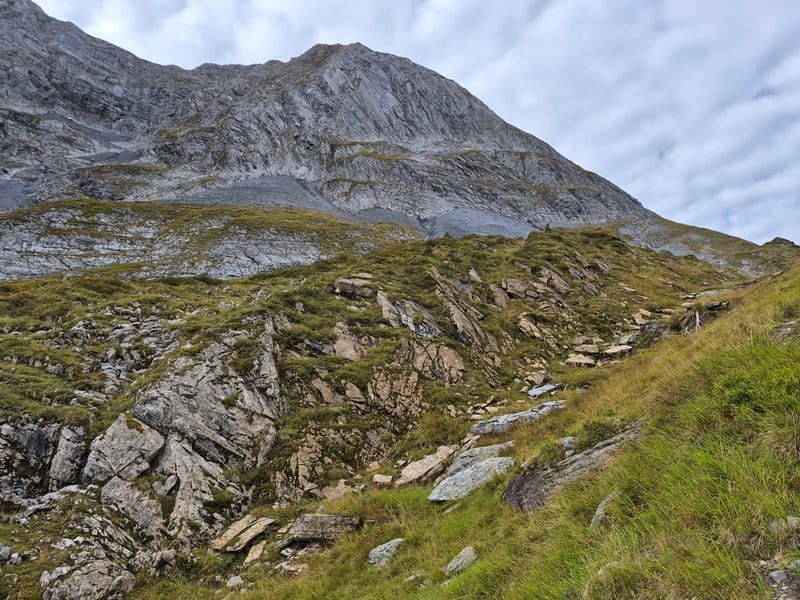 gelbliche Kalkschiefer der Schönach-Mulde