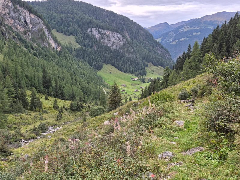 etwa eine halbe Stunde oberhalb der Unteren Schwarzachalm